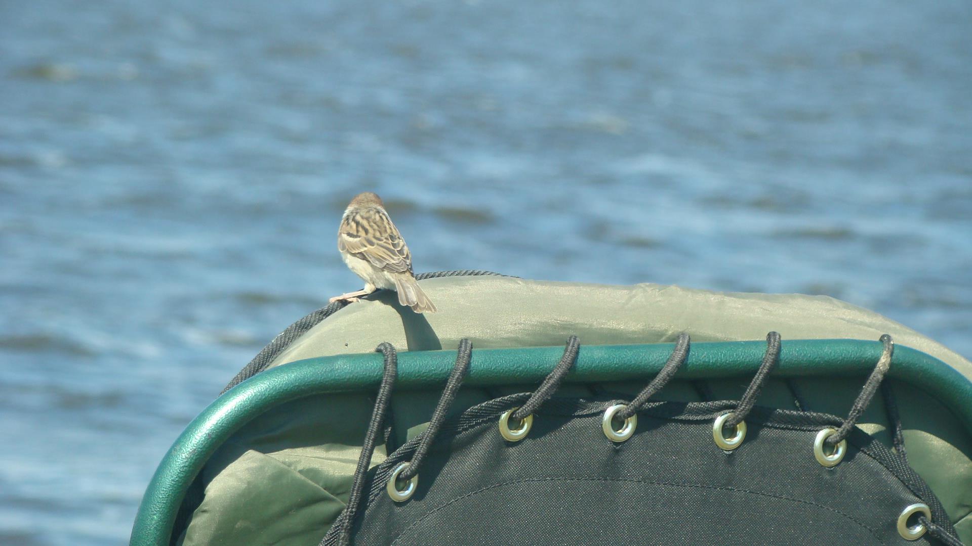 Blasova Mai 2013 - dsc02573.JPG